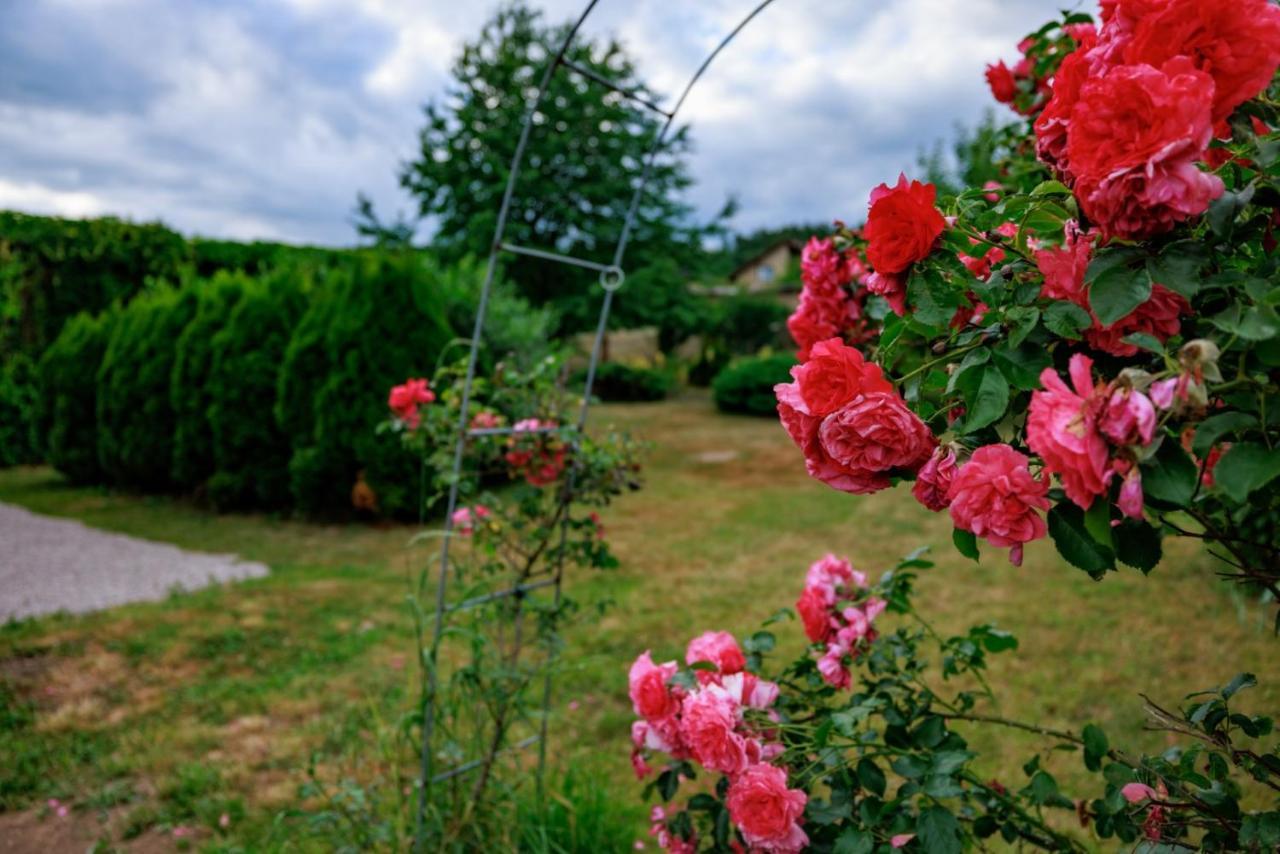 Apartmany Jaro Česká Skalice Buitenkant foto